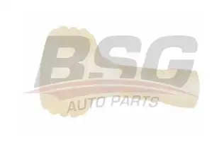 BSG 90995024 Merkezı Kilit Dıyaframı