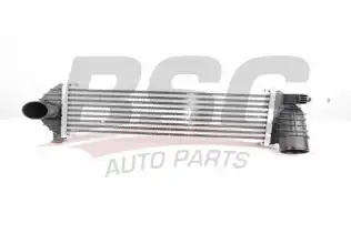 BSG 75535008 Turbo Radyatörü