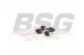 BSG 60310214 Viraj Askı Rotu Arka