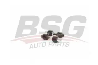 BSG 60310214 Viraj Askı Rotu Arka