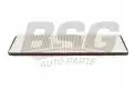 BSG 65145001 Polen Filtresi