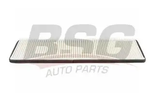 BSG 65145001 Polen Filtresi