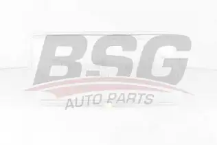 BSG 90801001 Far Camı Sağ