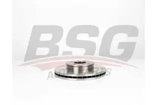 BSG 40210004 Fren Diski Ön