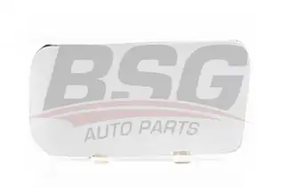BSG 30910016 Ayna Camı Sol