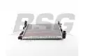BSG 40520042 Su Radyatörü