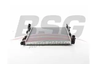 BSG 40520042 Su Radyatörü