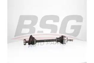 BSG 75350028 Aks Komple Ön Sol