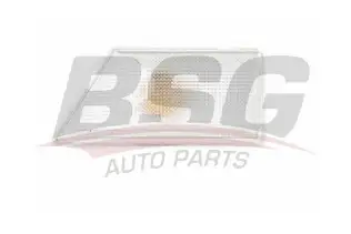 BSG 65810008 Çamurluk Sinyali Sağ