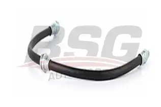 BSG 15730018 Fren Hortumu Arka