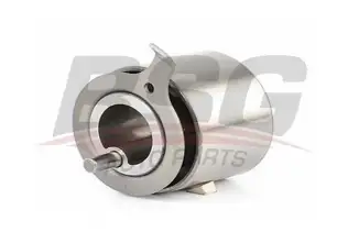 BSG 16615002 Eksantrik Gergi Rulmanı
