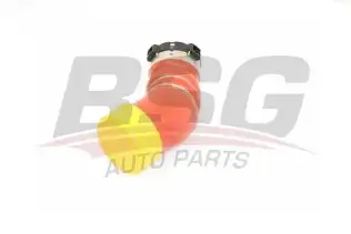 BSG 15720014 Turbo Hortumu