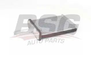 BSG 65530013 Kalorifer Radyatörü