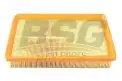 BSG 40135012 Hava Filtresi