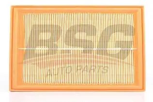 BSG 90135006 Hava Filtresi