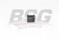 BSG 65700099 Viraj Demir Lastiği Arka