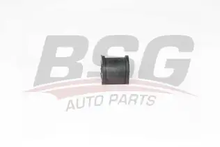 BSG 65700099 Viraj Demir Lastiği Arka