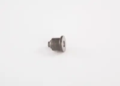 BOSCH 1418522055 Pompa Valfi - 6. Görsel