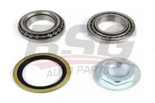 BSG 30600009 Porya Rulmanı Arka