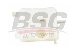 BSG 16550002 Radyatör Yedek Su Deposu