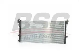 BSG 90520020 Su Radyatörü