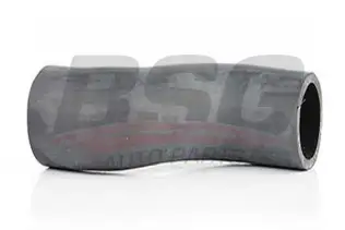 BSG 60720013 Intercooler Hortumu
