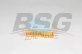 BSG 25135019 Hava Filtresi