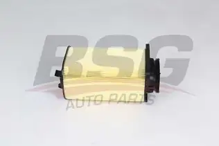 BSG 60135030 Hava Filtresi