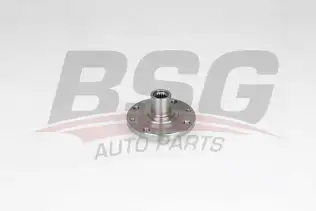 BSG 75600001 Porya Ön