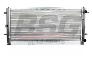 BSG 90520009 Su Radyatörü