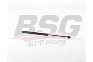 BSG 90980078 Bagaj Amortisörü