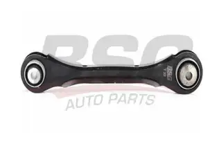 BSG 15315109 Salıncak Arka Sağ