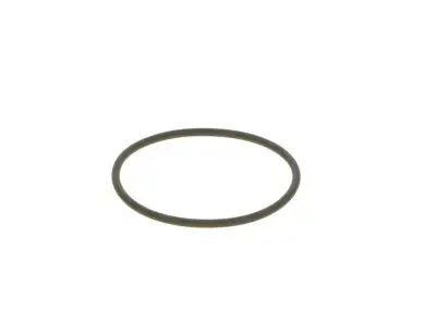 BOSCH F00N201306 O-Ring - 18. Görsel