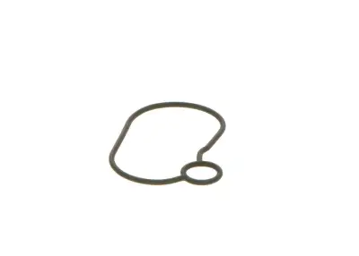 BOSCH 2440210054 O-Ring - 12. Görsel