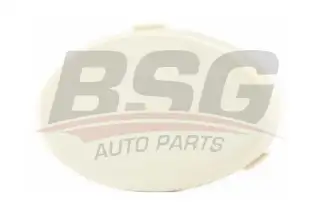 BSG 30922131 Çeki Demir Kapağı Ön