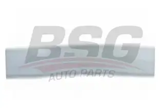 BSG 65924006 Kapı Bandı Ön Sol