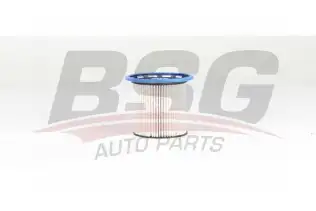 BSG 90130034 Yakıt Filtresi