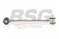 BSG 60310165 Viraj Askı Rotu Arka