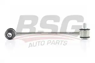 BSG 60310165 Viraj Askı Rotu Arka