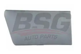 BSG 30926003 Çamurluk Kusağı Arka Sağ