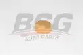 BSG 16551001 Radyatör Yedek Su Depo Kapağı