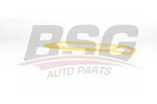 BSG 70135019 Hava Filtresi