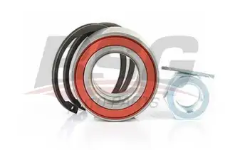 BSG 16605001 Porya Rulmanı Ön