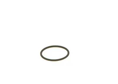 BOSCH F00VC38002 O-Ring - 16. Görsel