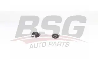 BSG 40310145 Viraj Askı Rotu Arka