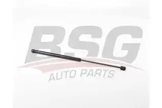BSG 75980012 Motor Kaput Amortisörü