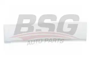 BSG 65925001 Kapı Bandı Ön Sol