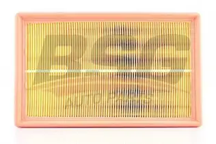 BSG 90135004 Hava Filtresi