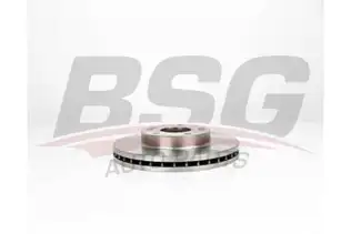 BSG 40210044 Fren Diski Ön