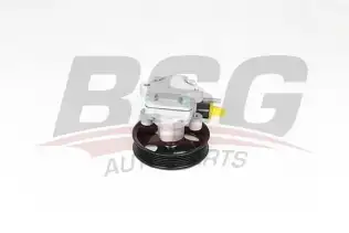 BSG 40355001 Direksiyon Pompası